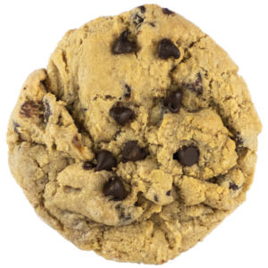 Chocolate Chip