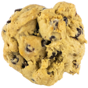 Chocolate Chip Biscuit
